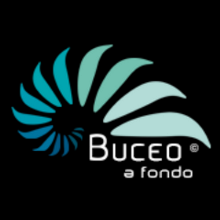 buceoafondo-220x220
